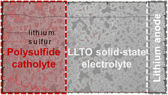 Graphical abstract: A solid-state electrolyte for electrochemical lithium–sulfur cells