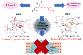 Graphical abstract: Design, synthesis, and biological evaluation of new pyrimidine-5-carbonitrile derivatives as novel anti-cancer, dual EGFRWT/COX-2 inhibitors with docking studies