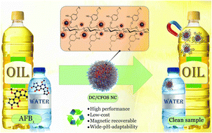 Graphical abstract: Adsorptive removal of aflatoxin B1 from water and edible oil by dopamine-grafted biomass chitosan–iron–cobalt spinel oxide nanocomposite: mechanism, kinetics, equilibrium, thermodynamics, and oil quality