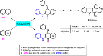 Graphical abstract: Synthesis and evaluation of potent (iso)ellipticine-based inhibitors of MYLK4 accessed via expeditious synthesis from isoquinolin-5-ol