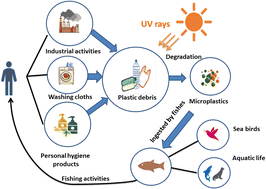 Graphical abstract: Current perspectives, challenges, and future directions in the electrochemical detection of microplastics