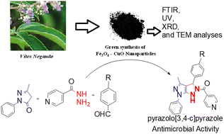 Graphical abstract: Vitex Negundo–Fe3O4–CuO green nanocatalyst (VN–Fe3O4–CuO): synthesis of pyrazolo[3,4-c]pyrazole derivatives via the cyclization of isoniazid with pyrazole and their antimicrobial activity, cytotoxicity, and molecular docking studies
