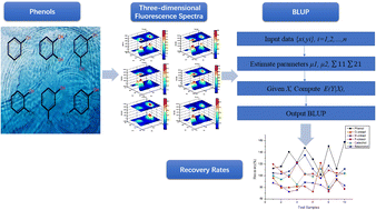 Graphical abstract: Determination of phenolic compounds in water using a multivariate statistical analysis method combined with three-dimensional fluorescence spectroscopy