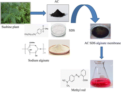 Graphical abstract: Preparation and dye adsorption properties of activated carbon/clay/sodium alginate composite hydrogel membranes