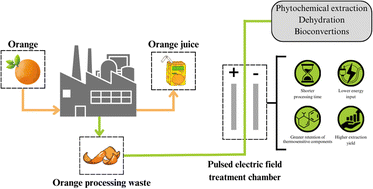 Graphical abstract: Pulsed electric field technology as a promising pre-treatment for enhancing orange agro-industrial waste biorefinery