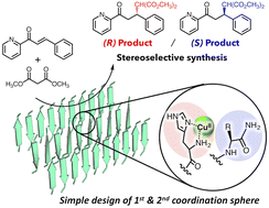 Graphical abstract: Asymmetric Michael addition catalysed by copper–amyloid complexes