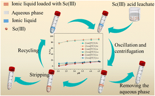 Graphical abstract: A green extraction process for the selective recovery of Sc(iii) based on hydrophobic betaine derivative ionic liquids