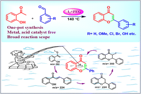 Graphical abstract: Iodine-PEG as a unique combination for the metal-free synthesis of flavonoids through iodonium-triiodide ion-pair complexation