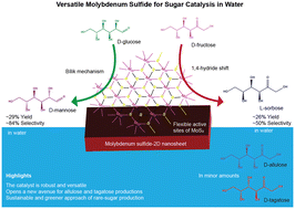 Graphical abstract: Molybdenum sulfide-2D nanosheets offering multiple metallic sites enable different sugar epimerization reactions to rare sugars in water