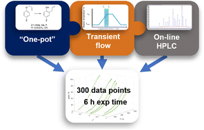 Graphical abstract: An efficient multiparameter method for the collection of chemical reaction data via ‘one-pot’ transient flow