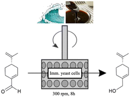 Graphical abstract: Boosting the catalytic performance of a marine yeast in a SpinChem® reactor for the synthesis of perillyl alcohol