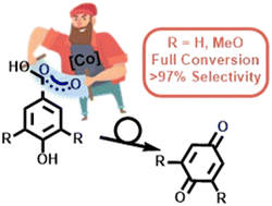 Graphical abstract: Oxidative cleavage of lignin model substrates with Co(salen) catalyst: an experimental study on the effect of different reaction parameters in batch and continuous flow