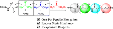 Graphical abstract: Trimethylaluminum-mediated one-pot peptide elongation