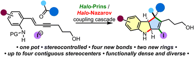 Graphical abstract: Nitrogen-interrupted halo-Prins/halo-Nazarov fragment coupling cascade for the synthesis of indolines