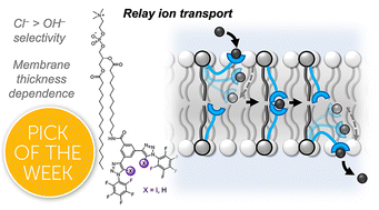 Graphical abstract: Halogen bonding relay and mobile anion transporters with kinetically controlled chloride selectivity