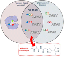 Graphical abstract: Fragment expansion with NUDELs – poised DNA-encoded libraries