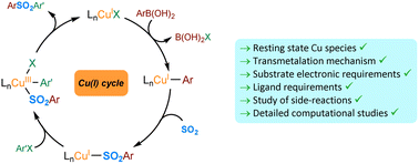 Graphical abstract: Experimental and computational insights into the mechanism of the copper(i)-catalysed sulfonylative Suzuki–Miyaura reaction