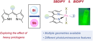 Graphical abstract: Replacing the BO in BODIPY: unlocking the path to SBDIPY and BIDIPY chromophores