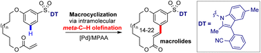 Graphical abstract: Macrocyclization via remote meta-selective C–H olefination using a practical indolyl template