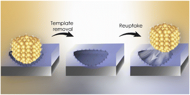 Graphical abstract: Imprinting of nanoparticles in thin films: Quo Vadis?
