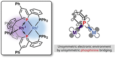 Graphical abstract: A dinuclear Rh(−i)/Rh(i) complex bridged by biphilic phosphinine ligands