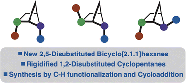 Graphical abstract: 2,5-disubstituted bicyclo[2.1.1]hexanes as rigidified cyclopentane variants