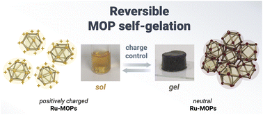 Graphical abstract: Porous supramolecular gels produced by reversible self-gelation of ruthenium-based metal–organic polyhedra