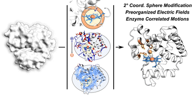 Graphical abstract: From random to rational: improving enzyme design through electric fields, second coordination sphere interactions, and conformational dynamics