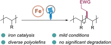 Graphical abstract: Photoinduced iron-catalyzed C–H alkylation of polyolefins