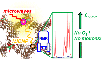 Graphical abstract: Endogenous metal-ion dynamic nuclear polarization for NMR signal enhancement in metal organic frameworks