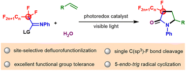 Graphical abstract: Photocatalytic redox-neutral selective single C(sp3)–F bond activation of perfluoroalkyl iminosulfides with alkenes and water