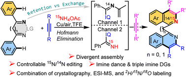 Graphical abstract: Mechanistic insights into an NH4OAc-promoted imine dance in Rh-catalysed multicomponent double C–H annulations through an N-retention/exchange dual channel