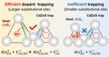 Graphical abstract: Inserting an “atomic trap” for directional dopant migration in core/multi-shell quantum dots