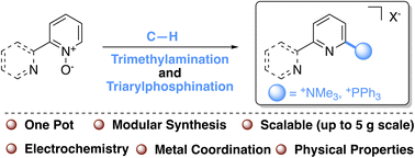Graphical abstract: Modular preparation of cationic bipyridines and azaarenes via C–H activation
