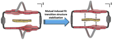 Graphical abstract: Mutual induced fit transition structure stabilization of corannulene's bowl-to-bowl inversion in a perylene bisimide cyclophane