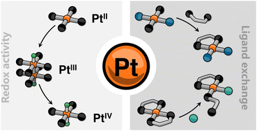 Graphical abstract: Responsive macrocyclic and supramolecular structures powered by platinum