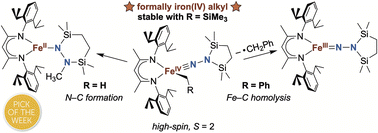 Graphical abstract: Iron(iv) alkyl complexes: electronic structure contributions to Fe–C bond homolysis and migration reactions that form N–C bonds from N2