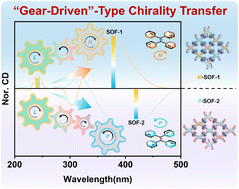 Graphical abstract: “Gear-driven”-type chirality transfer of tetraphenylethene-based supramolecular organic frameworks for peptides in water