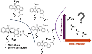Graphical abstract: Photo- and halochromism of spiropyran-based main-chain polymers