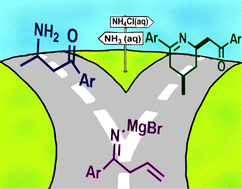 Graphical abstract: Addition of allyl Grignard to nitriles in air and at room temperature: experimental and computational mechanistic insights in pH-switchable synthesis