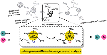 Graphical abstract: Evidence for Suzuki–Miyaura cross-couplings catalyzed by ligated Pd3-clusters: from cradle to grave