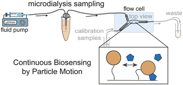 Graphical abstract: Integrated sampling-and-sensing using microdialysis and biosensing by particle motion for continuous cortisol monitoring