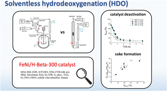 Graphical abstract: Solventless hydrodeoxygenation of isoeugenol and dihydroeugenol in batch and continuous modes over a zeolite-supported FeNi catalyst