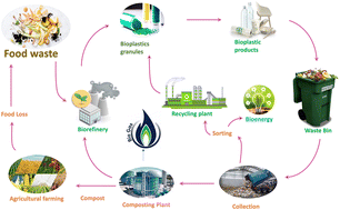 Graphical abstract: Review on food waste valorisation for bioplastic production towards a circular economy: sustainable approaches and biodegradability assessment
