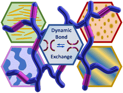 Graphical abstract: Phase separation in supramolecular and covalent adaptable networks