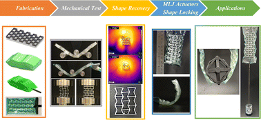 Graphical abstract: Shape memory meta-laminar jamming actuators fabricated by 4D printing