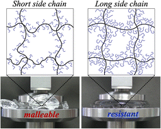 Graphical abstract: Controlling the mechanical properties of hydrogels via modulating the side-chain length