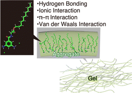 Graphical abstract: Photoluminescent supramolecular gels derived from phenylenediamine hydrochlorides