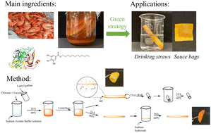 Graphical abstract: Water-resistance chitosan film through enzymatic treatment and layer-by-layer assembly with bacterial cellulose for food packaging materials