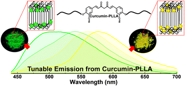 Graphical abstract: Impact of polymer chain packing and crystallization on the emission behavior of curcumin-embedded poly(l-lactide)s